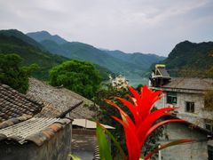 -后柳水乡