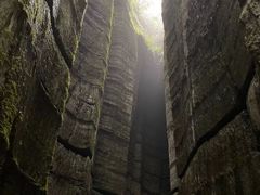 -梦幻奥陶纪景区