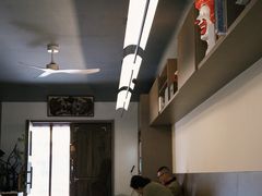 -椿树咖啡