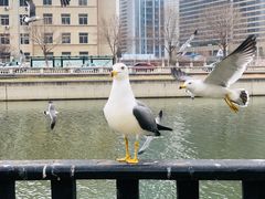 -星海广场