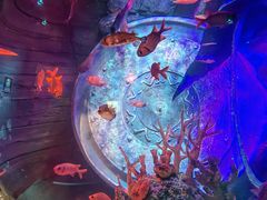 -沈阳海洋探索中心