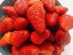 -西郊国际农产品交易中心