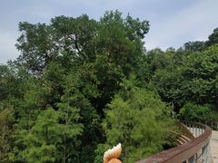 -云溪植物园