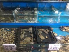水产区-云南巷海鲜大咖·可加工海鲜