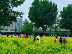 -长白岛森林公园