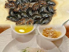 -美未居·老字号·地道顺德菜·桑拿鸡·鱼生(容桂店)