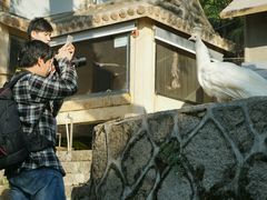 android_upload_pic-百鸟园