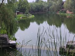 -静之湖湖畔餐厅