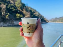 -新安江山水画廊风景区