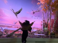 -中国湿地博物馆