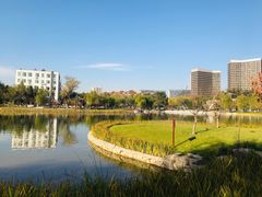 -西海子公园