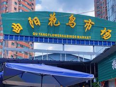 -曲阳花鸟市场(曲阳路店)