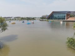 -上海长兴岛郊野公园