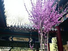 -碑林公园