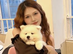 -Let's go狗咖·猫咖·奶狗·桌游(春熙路IFS店)