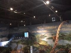 -自贡恐龙博物馆