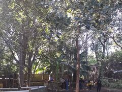 -费瑟代尔野生动物园