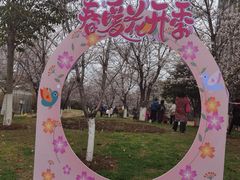 -堤角公园