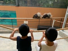 -清迈夜间动物园