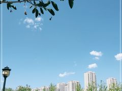 -永定河休闲森林公园