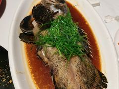 -梧桐餐厅(泉城路店)