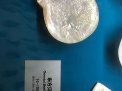 -青岛贝壳博物馆