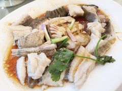 清蒸龙趸鱼-龙悦湾酒家·八阵鱼生·渔人码头店