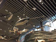 -1868 Café(上海自然博物馆店)