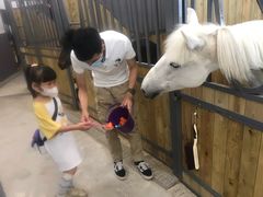 -骑乐马术(广州奥体优托邦中心)