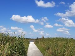 -盐城丹顶鹤湿地生态旅游区