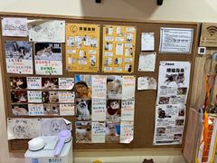 -滚猫咖啡·猫咖·猫友好撸猫(未来城店)