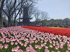 -上海鲜花港