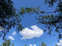 -山王坪喀斯特国家生态公园
