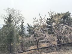 -白水寺森林公园