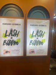 点击看大图 -Browhaus眉睫沙龙