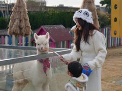 -上海佘山世茂艾美酒店