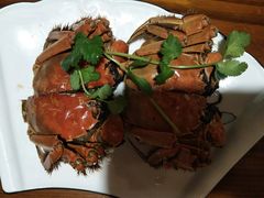 -呼吸森林·生态农庄农家乐私房菜