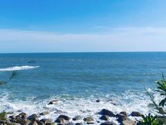 -广东惠东海龟国家级自然保护区