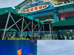 -海合安成都极地海洋公园