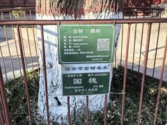 -关中书院