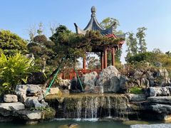 -东莞植物园
