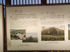 -中国茶叶博物馆(双峰馆区)