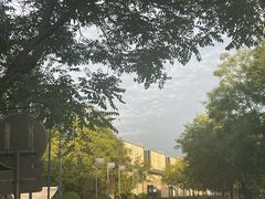 -大兴滨河森林公园