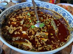 -青城甲(青城山店)