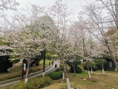 -堤角公园