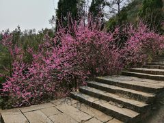 -天台山赤城山景区