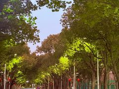 -华东政法大学(松江校区)