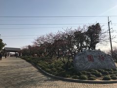 -上海海湾国家森林公园