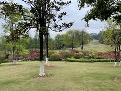 -铁山坪森林公园