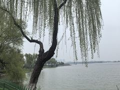 -金银湖国家城市湿地公园